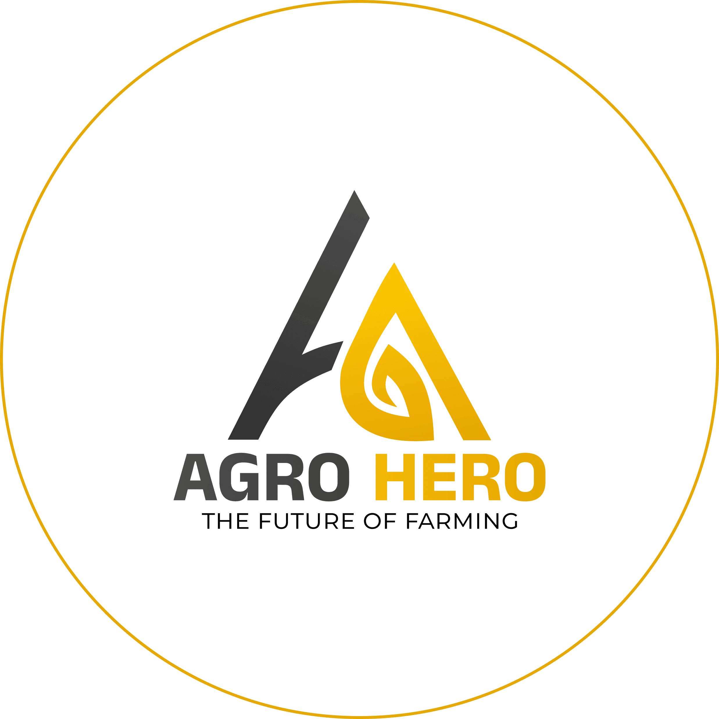 Logo Agro Hero