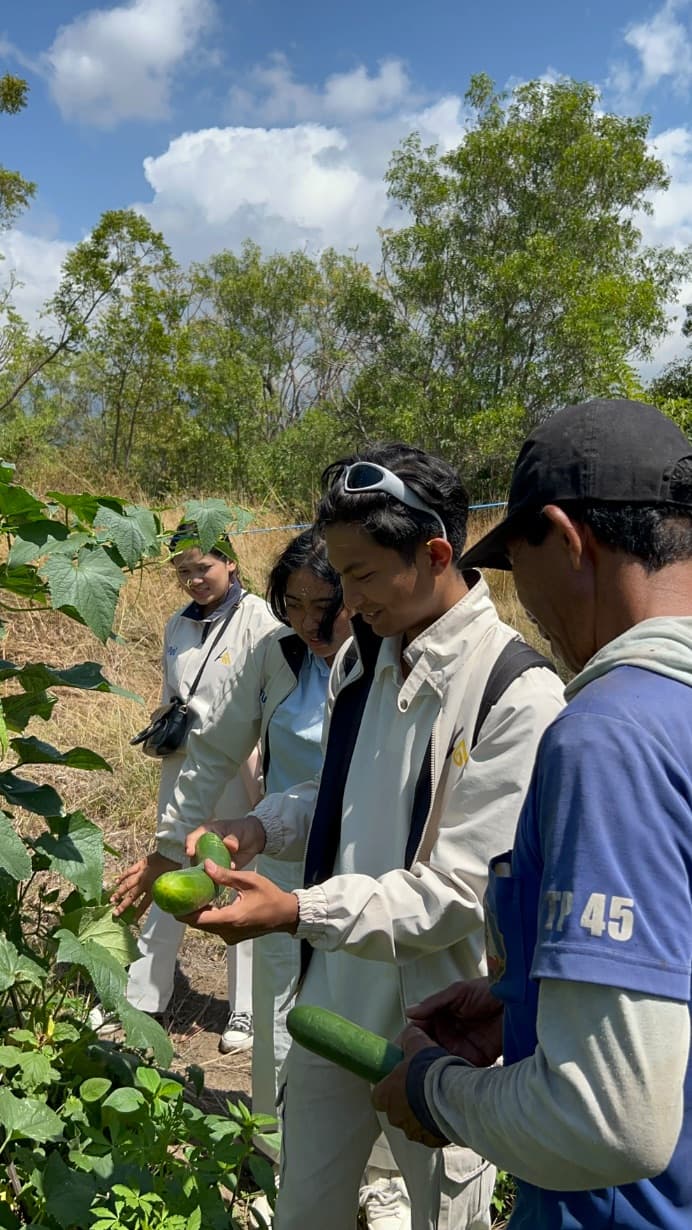 Menghirup Aroma Tanah Tulamben: Cerita Modal, Rezeki MBG, dan Kemitraan Agro Hero bersama Kelompok Tani Lahar Sari